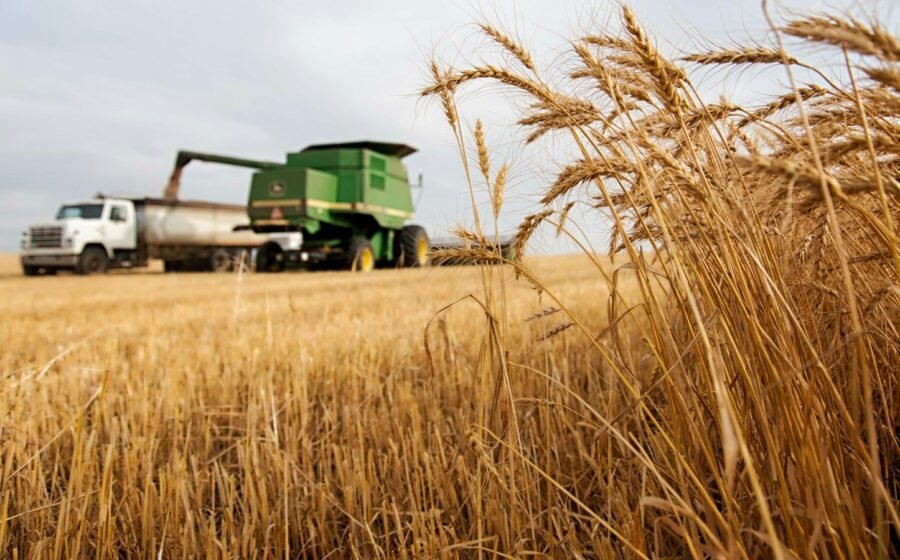 Combine harvester working in a wheat field, illustrating agricultural food supply issues, not a farm affected by Hormuz shipping disruption