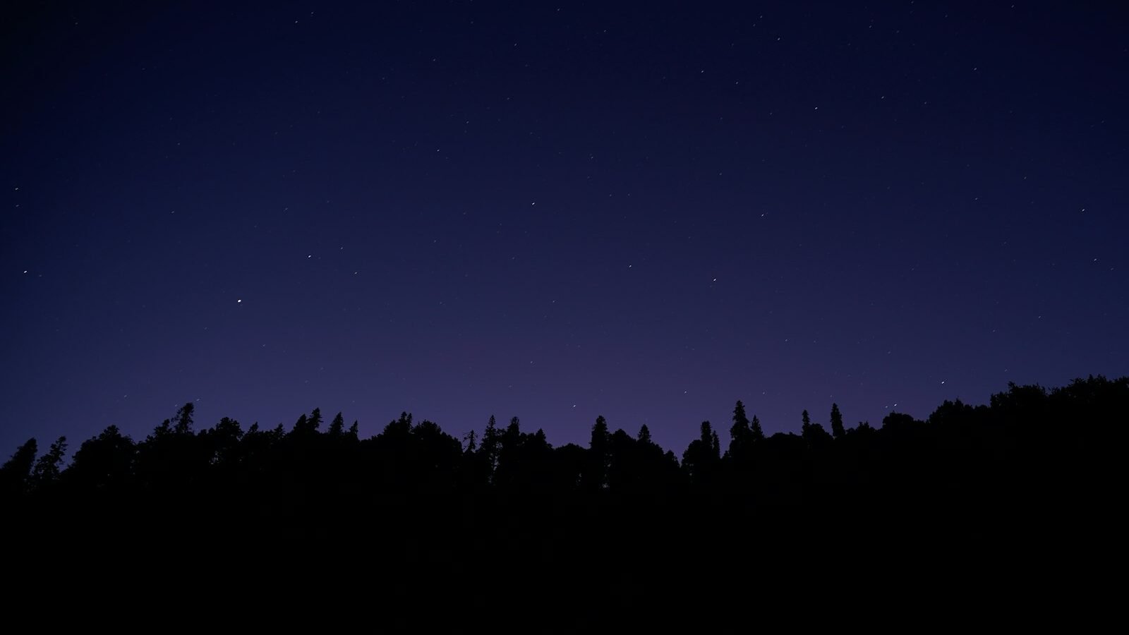 Star-filled night sky over silhouetted trees, illustrative photograph for UAP reporting
