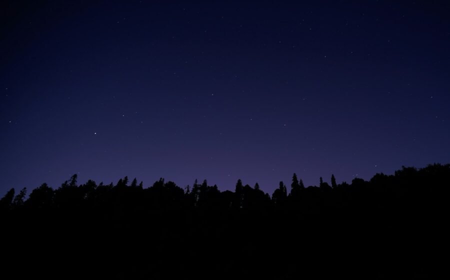 Star-filled night sky over silhouetted trees, illustrative photograph for UAP reporting