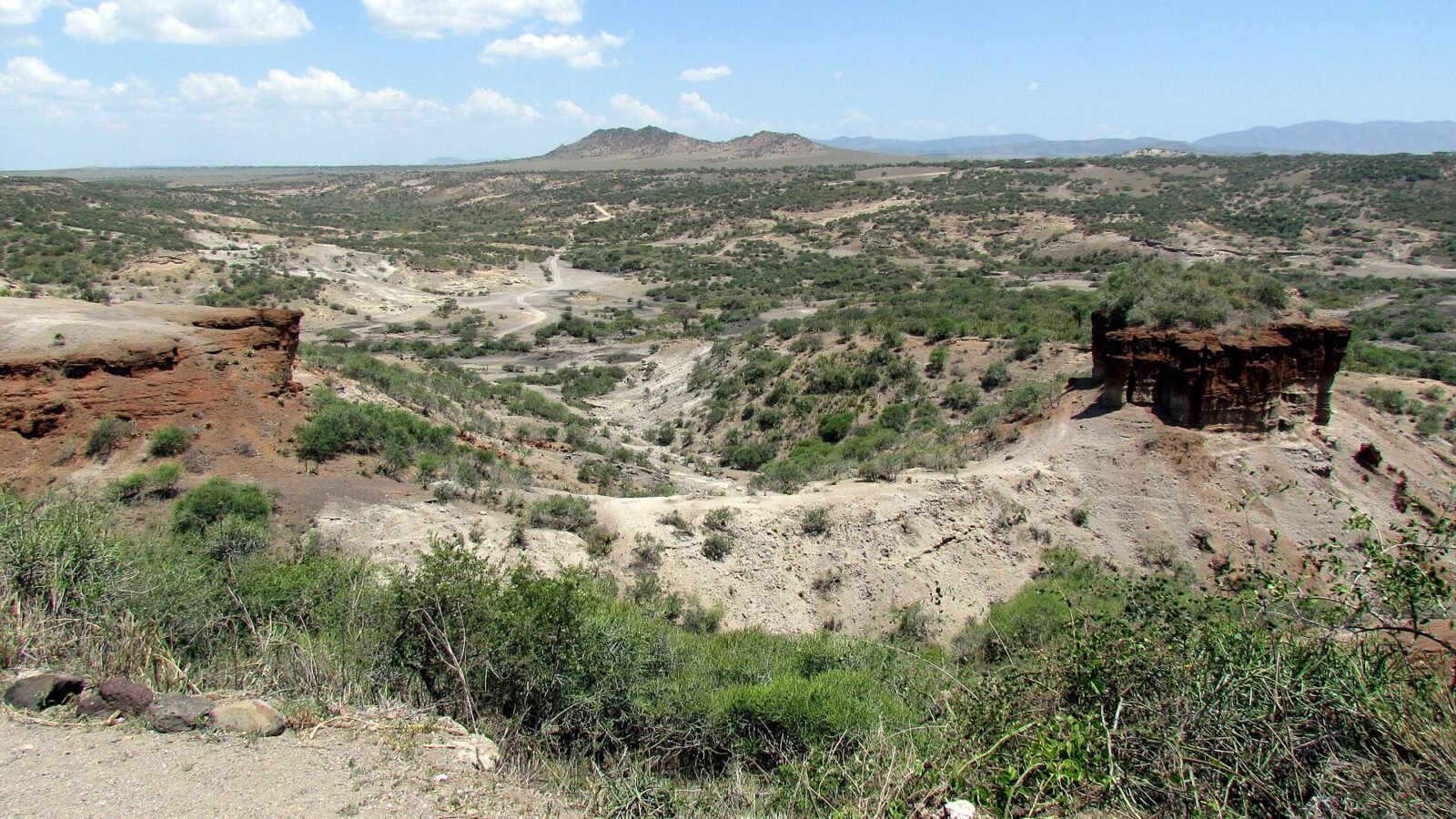 Sedimentary slopes and open landscape at Olduvai Gorge in Tanzania. Photograph by David Berkowitz, CC BY 2.0.
