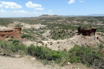 Sedimentary slopes and open landscape at Olduvai Gorge in Tanzania. Photograph by David Berkowitz, CC BY 2.0.