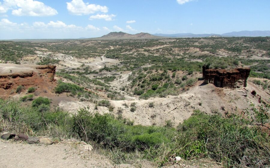 Sedimentary slopes and open landscape at Olduvai Gorge in Tanzania. Photograph by David Berkowitz, CC BY 2.0.