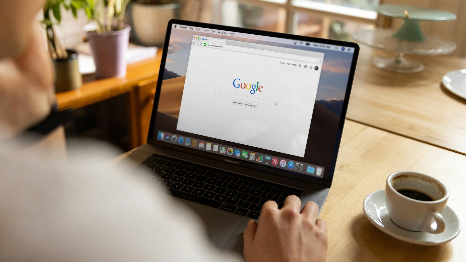 Person viewing web search on a laptop, illustrative technology photograph